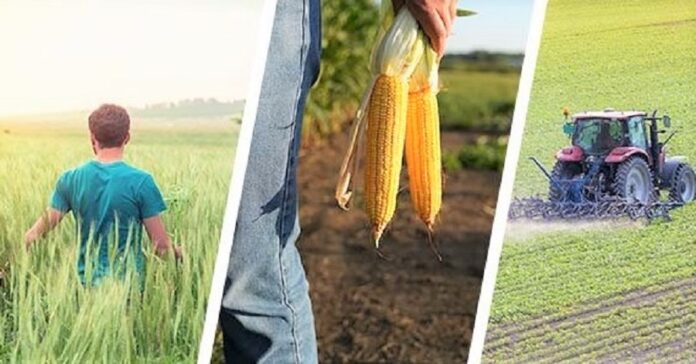 Corteva-Agriscience-zavershuye-prydbannya-kompanij-Symborg-ta-Stoller