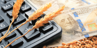 Eksperty-doslidyly-yak-zminylasya-rentabelnist-ukrayinskyh-agropidpryyemstv-cherez-vijnu