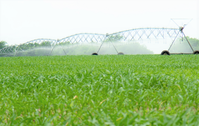 Programa-USAID-AGRO-dodatkovo-vydilyaye-koshty-na-modernizatsiyu-obyektiv-gidrotehnichnoyi-melioratsiyi