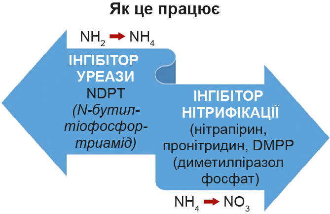 Як отримати реальну економію на добривах і не втратити на врожаї Як отримати реальну економію на добривах і не втратити на врожаї