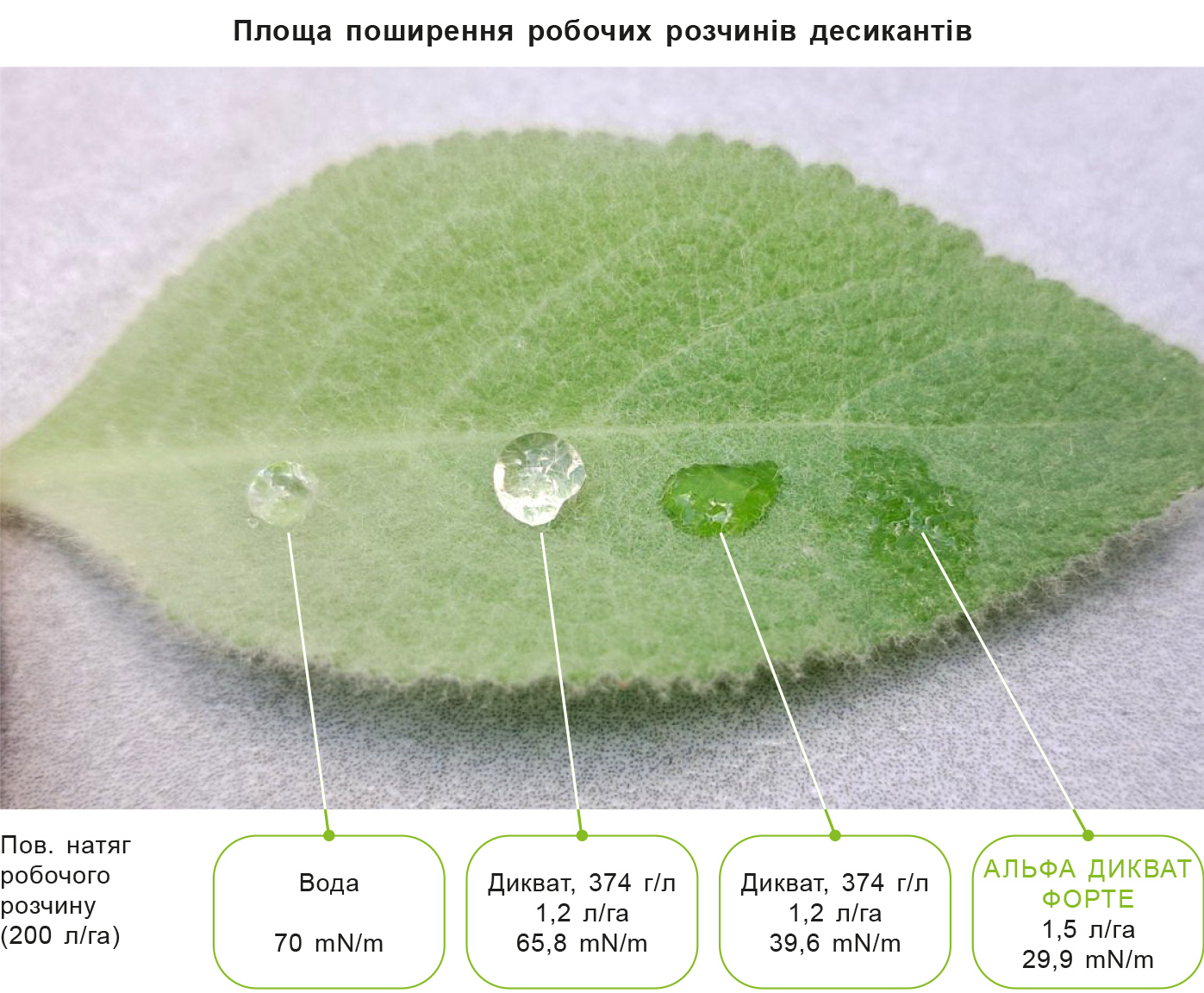 CHomu-odni-dykvaty-efektyvnishi-rys-6 CHomu-odni-dykvaty-efektyvnishi-rys-6