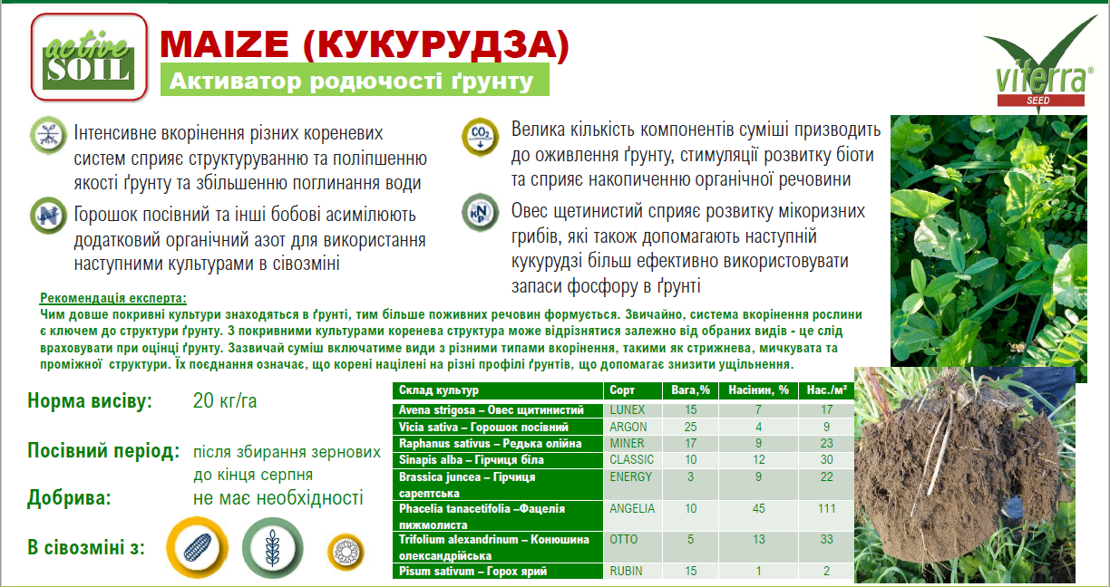 Viterra-seed-MAIZE Viterra-seed-MAIZE
