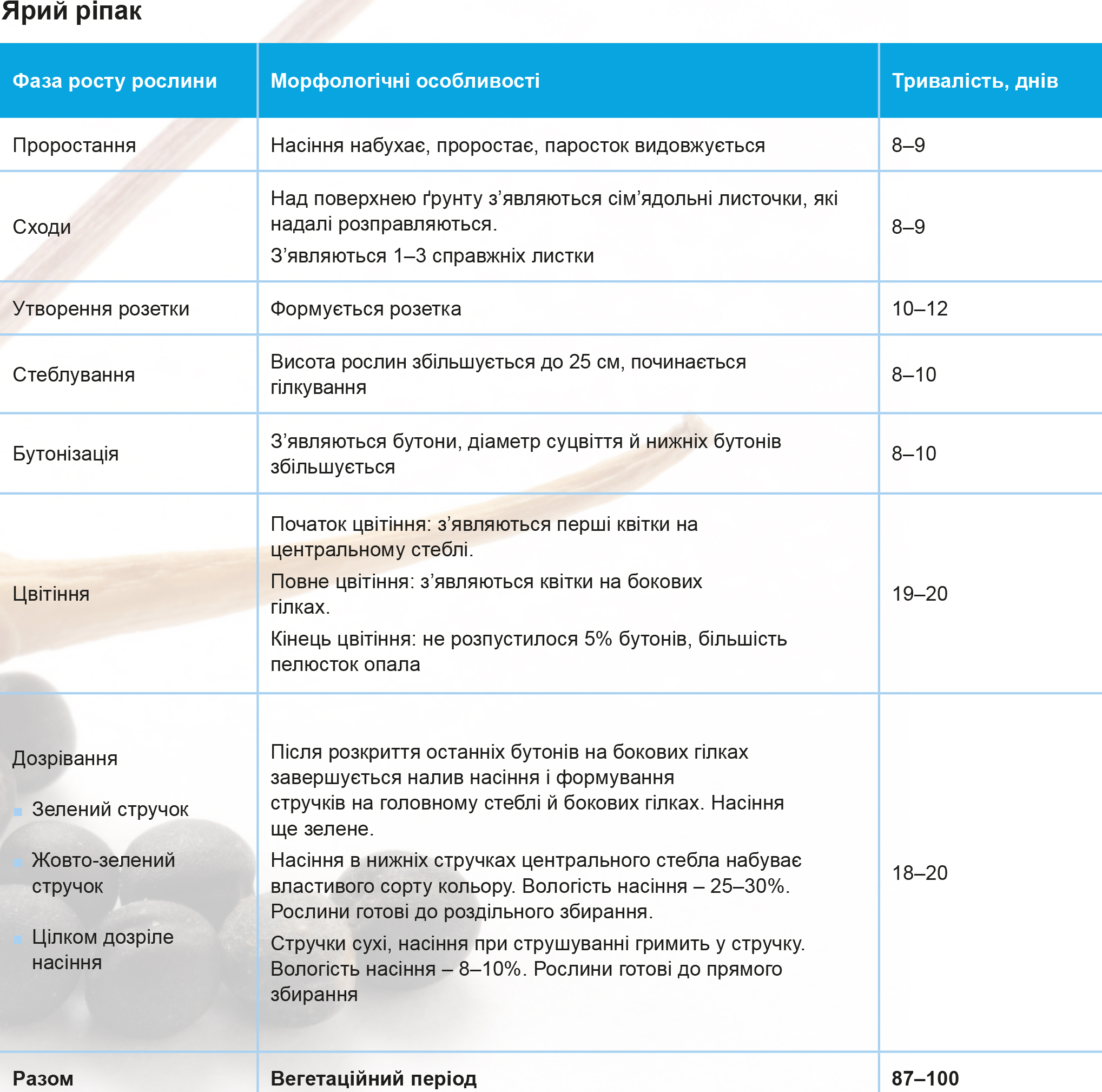 Fazy-rozvytku-ripaku-za-shkaloyu-VVSN-4-storinka Fazy-rozvytku-ripaku-za-shkaloyu-VVSN-4-storinka
