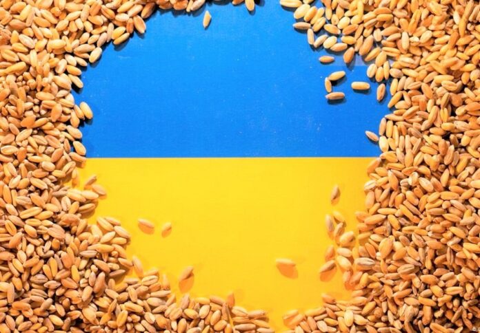 Logistychni-ta-finansovi-vyklyky-dlya-agrariyiv-yak-prybutkovo-vyroshhuvaty-sg-kultury