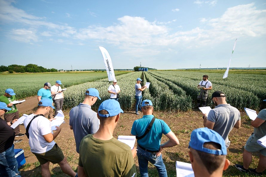 Syngenta_4 Syngenta_4