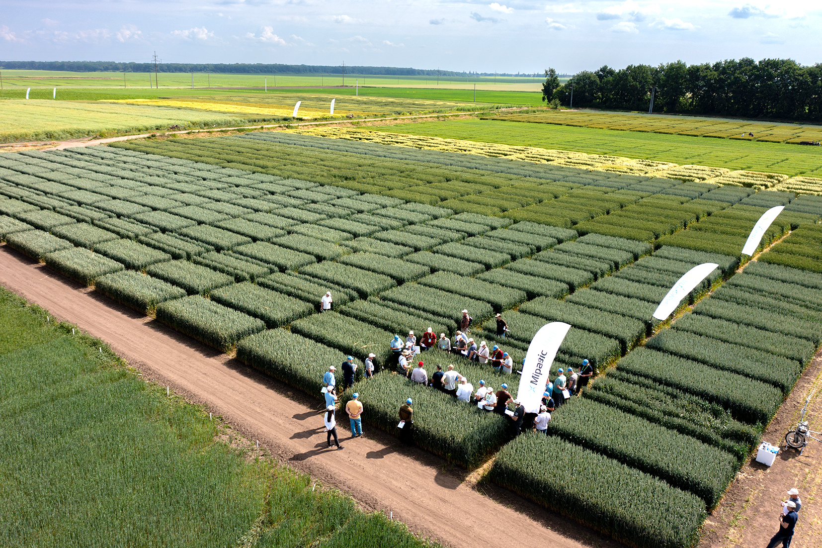 Syngenta_5 Syngenta_5