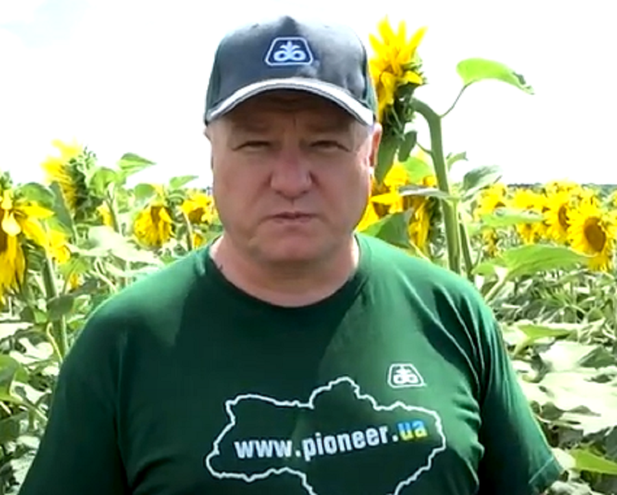 Чотири поради для агрономів, які планують весняні посіви соняшнику Чотири поради для агрономів, які планують весняні посіви соняшнику