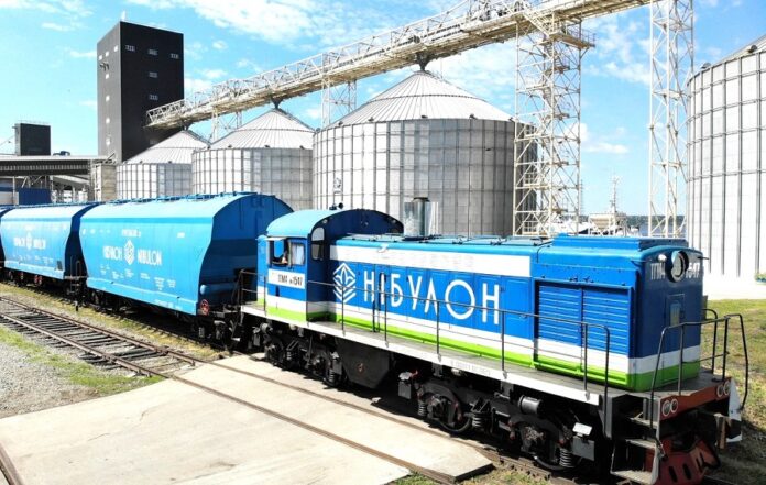 Компанія «Нібулон» позиватиметься проти росії через завдані нею збитки