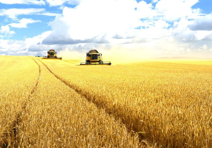 BASF продовжує дію вексельної програми на купівлю засобів захисту рослин та насіння