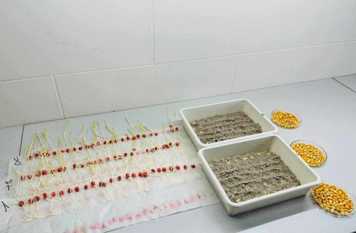 Випробувано холодом Ukravit Institute пропонує нову послугу