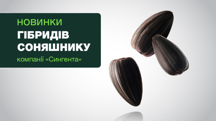 __26489_novynky_sunflower_1132_x_637_IKO_24_4