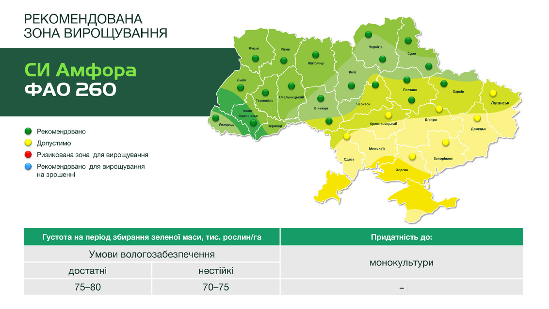 26490_Ampfora_1132_x_637_IKO_24_2 26490_Ampfora_1132_x_637_IKO_24_2