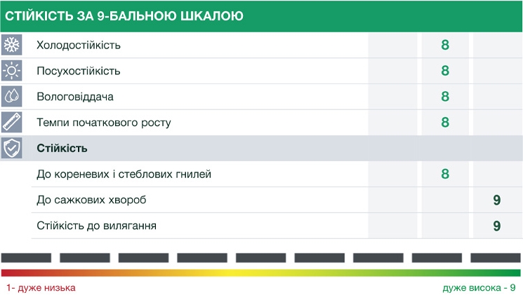__26490_Eleanor_1132_IKO_24_4 __26490_Eleanor_1132_IKO_24_4
