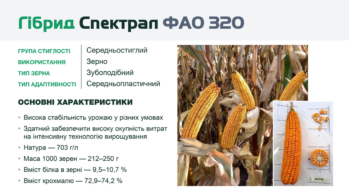 26490_Spectral_1132_x_637_IKO_24_1 26490_Spectral_1132_x_637_IKO_24_1