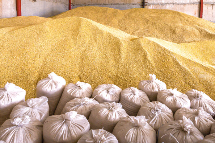 Pile of heaps of wheat grains and sacks at mill storage or grain elevator.