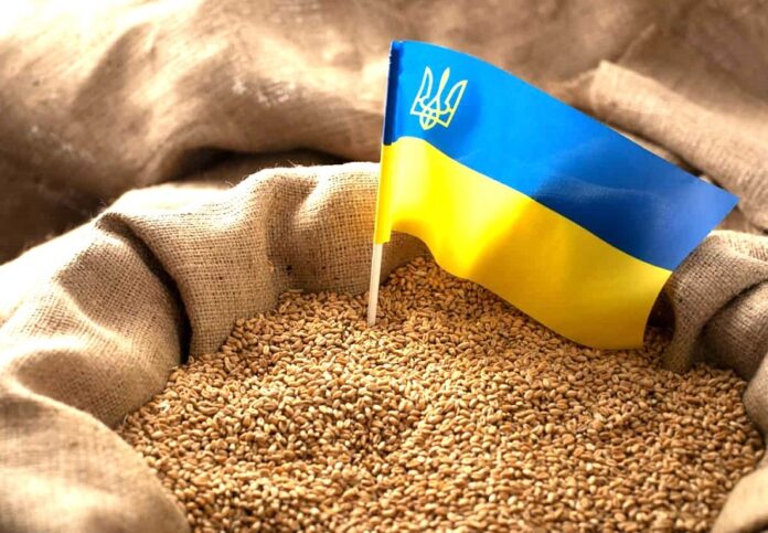 В Україні зростають закупівельні ціни на пшеницю