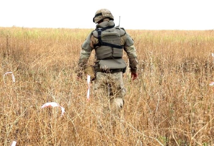 Які плани на весняну посівну в аграріїв Херсонщини