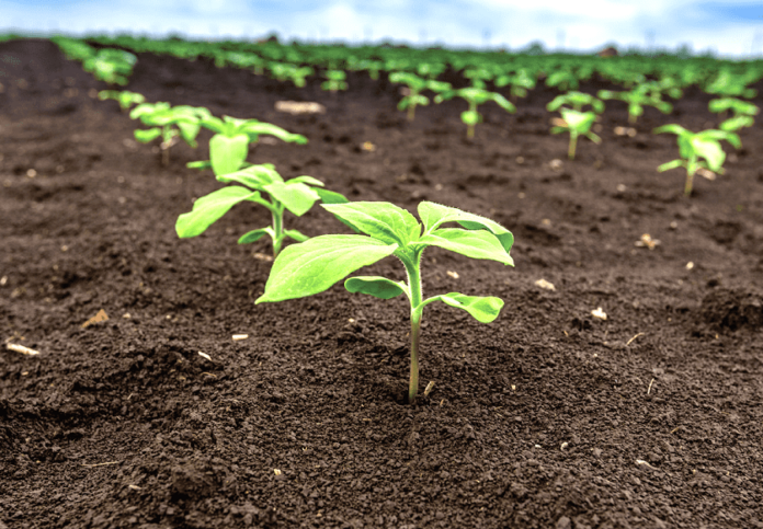 «Ерідон» розширює асортимент продуктів IFAGRI на 2024 рік