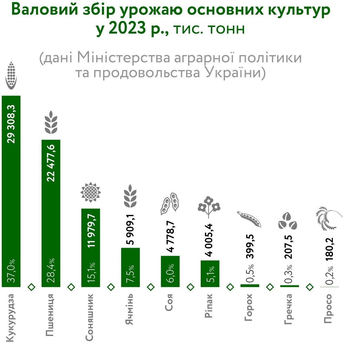 фази КУКУРУЗА_2024 фази КУКУРУЗА_2024