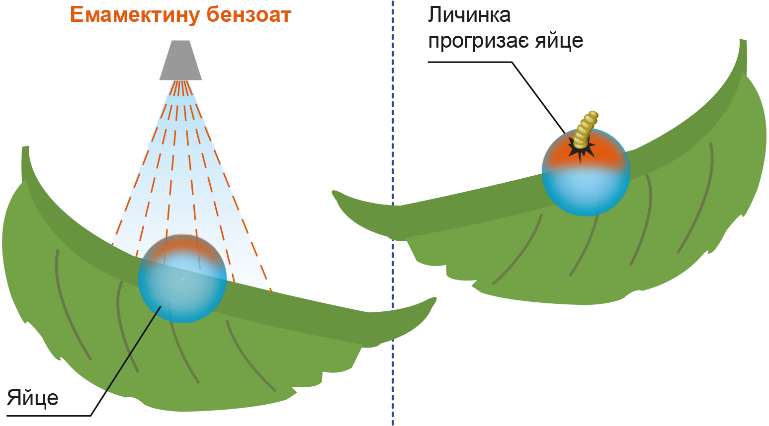 Новинка Еміприд Про 3 Новинка Еміприд Про 3
