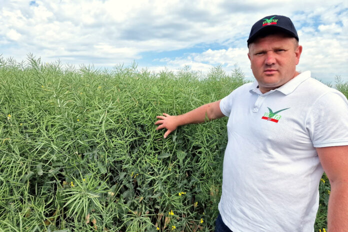 СВІ 3_1_