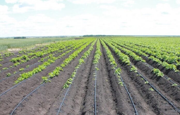 ФАО закуповує системи крапельного поливу для українських фермерів