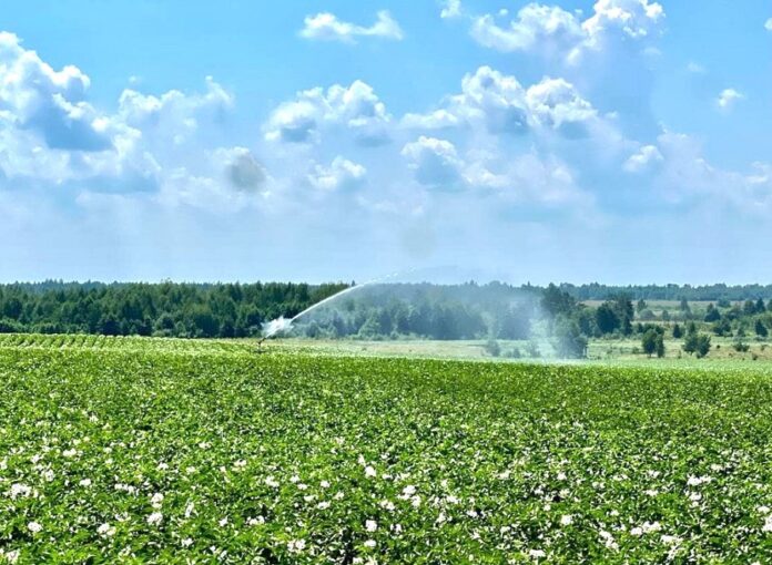 ОВК «Лесині джерела» перша запустила реформу гідротехнічної меліорації на Поліссі