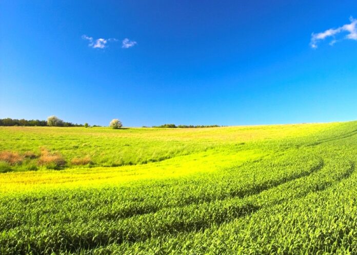 Syngenta інтегрує інструмент кількісної оцінки вуглецю