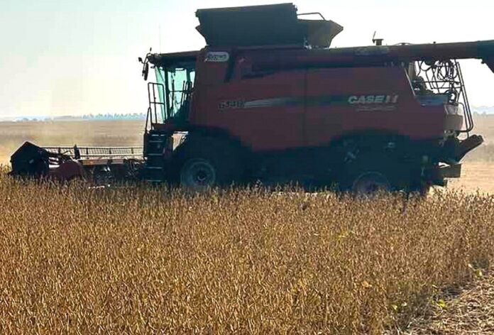 Компанія «Сігнет» отримала високий урожай сої