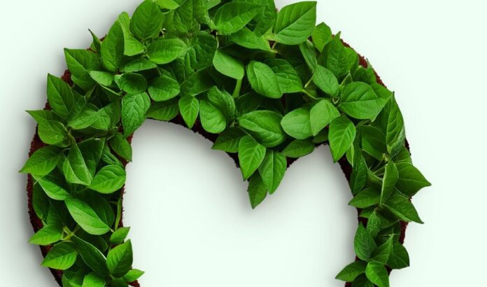 Alfa smart agro – турбота, що дає плоди