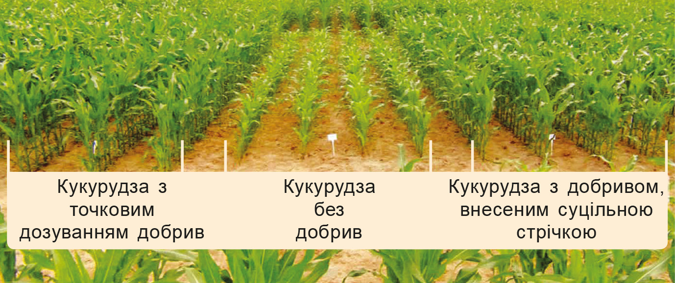 Добриво під кукурудзу-4 Добриво під кукурудзу-4