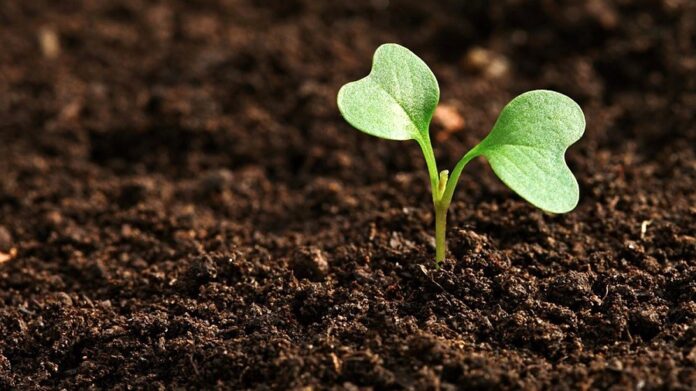 Vitagro Partner у найближчих 2 роки інвестує у свій завод ще 2 мільйони доларів
