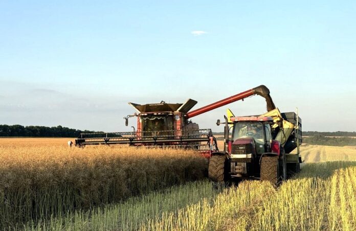 Яка культура стала найврожайнішою ГК «Агротрейд» у 2024 році