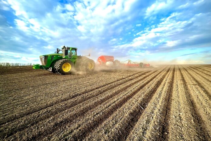 У 2025 році в Україні зменшаться площі сівби сої та ріпаку, але виростуть під кукурудзою