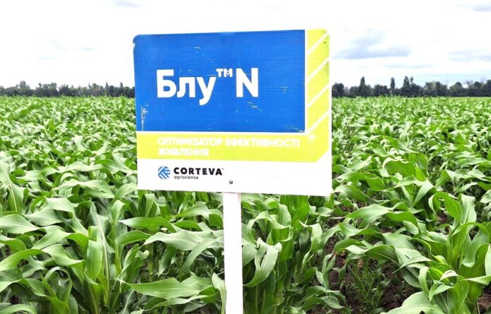 Українські фермерки опанували агроінновації разом з експертами Сorteva Agriscience