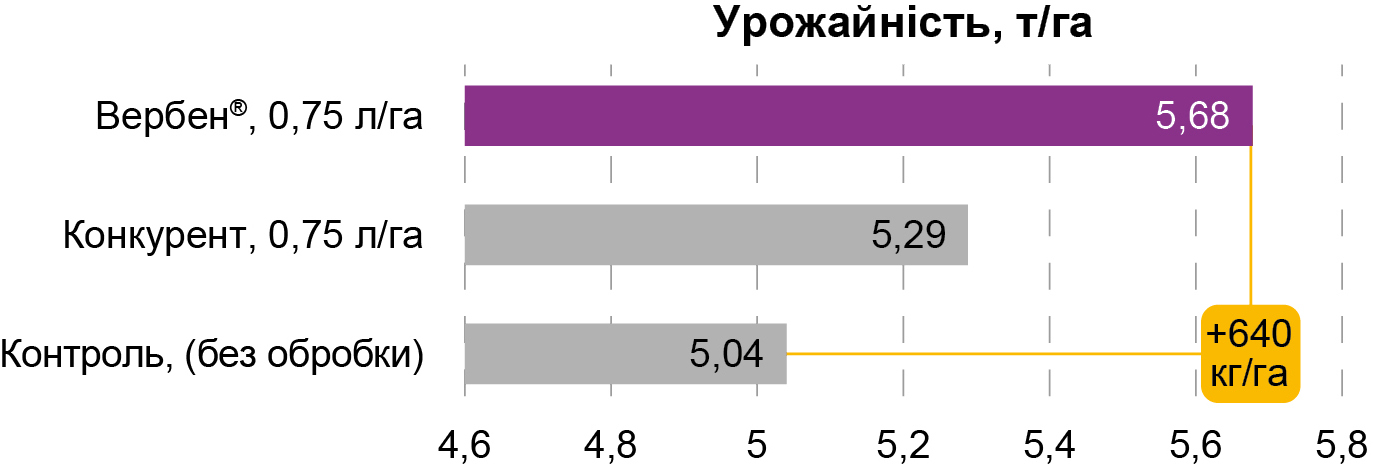 Вербен рис 3 Вербен рис 3