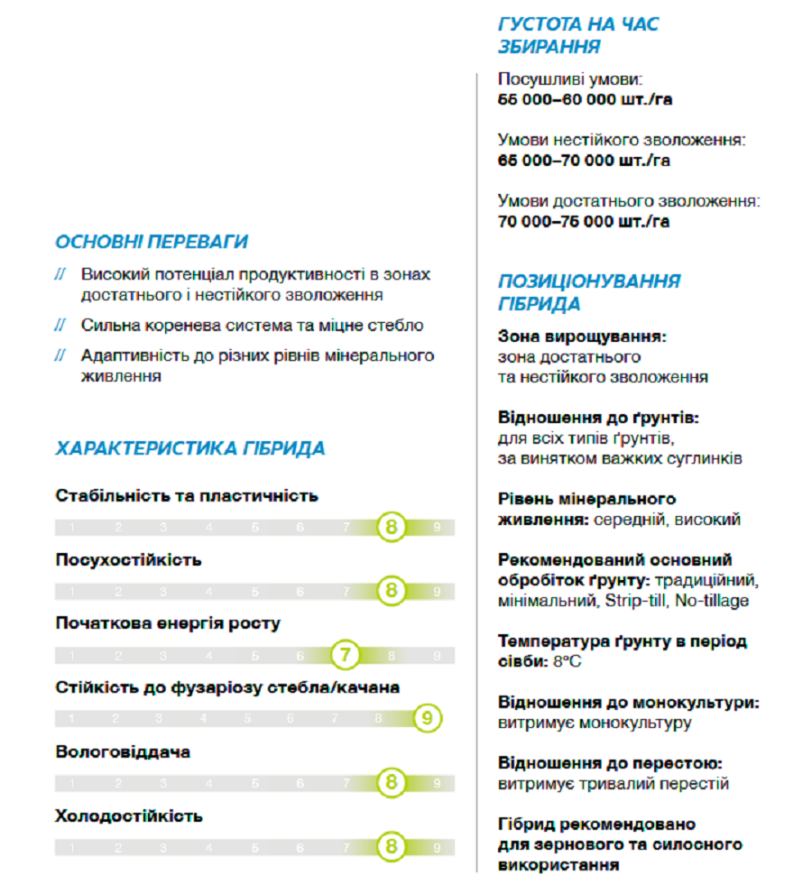 рисунок