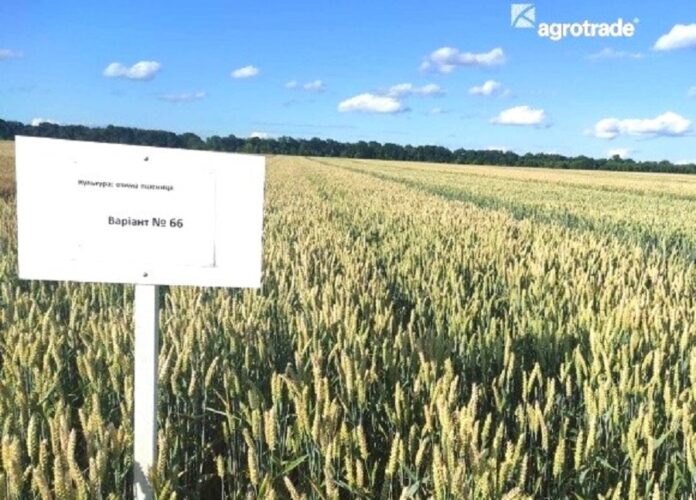 Агротрейд проведе 370 агровипробувань у 2025 році