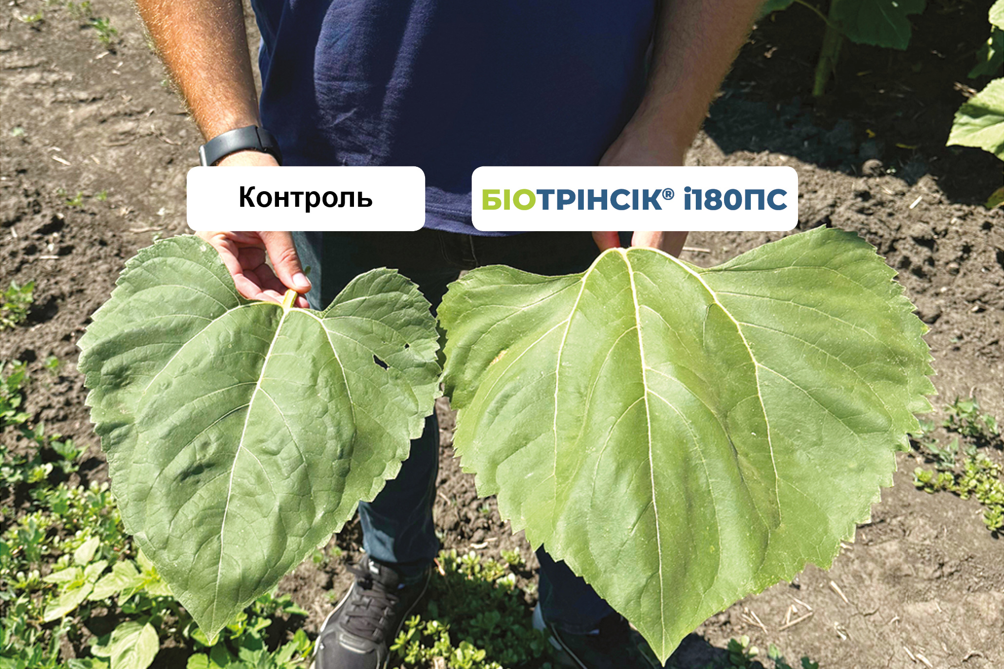Біотрінсік 1 Біотрінсік 1