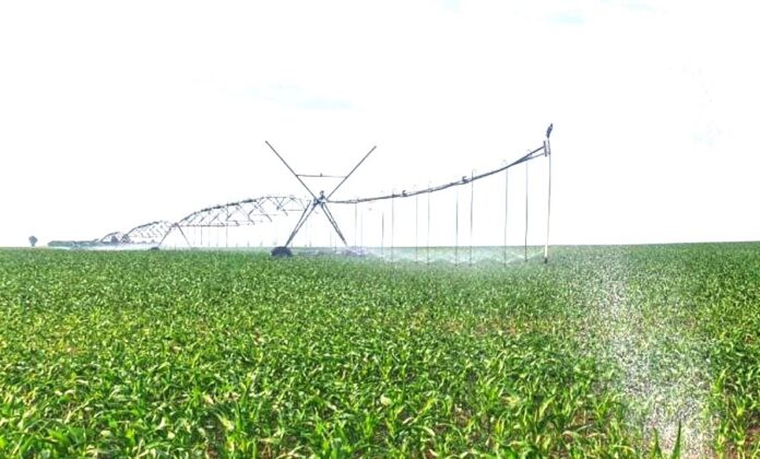 Agro Region - 2