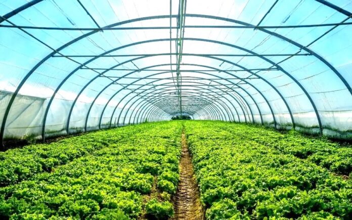 Уряд змінив порядок надання грантів для аграріїв