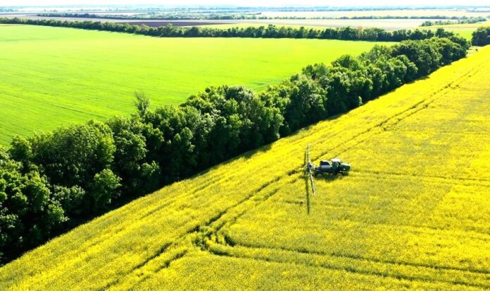 Kernel першим в Україні випустив фінансування з використанням товарної аграрної ноти