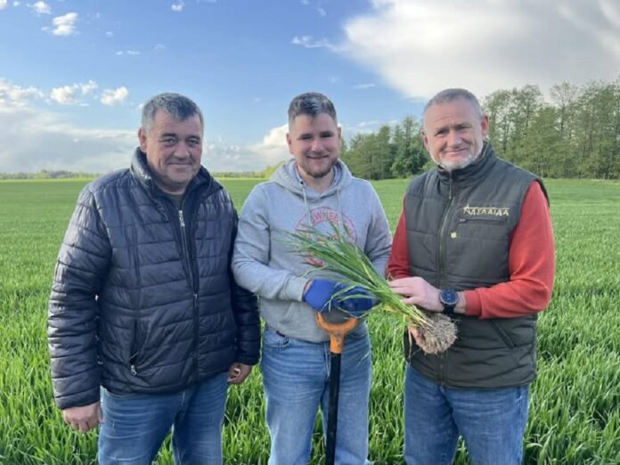 Схема трирічної сівозміни від ФГ «Аделаїда»