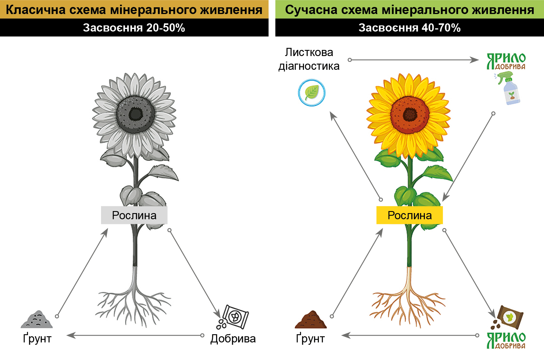 Рис. 1. Сучасна схема мінерального живлення рослин Рис. 1. Сучасна схема мінерального живлення рослин
