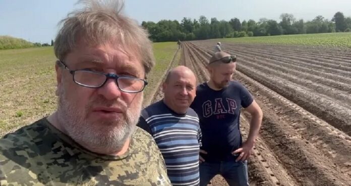 На Київщині висадили міні-картоплю сортів української селекції