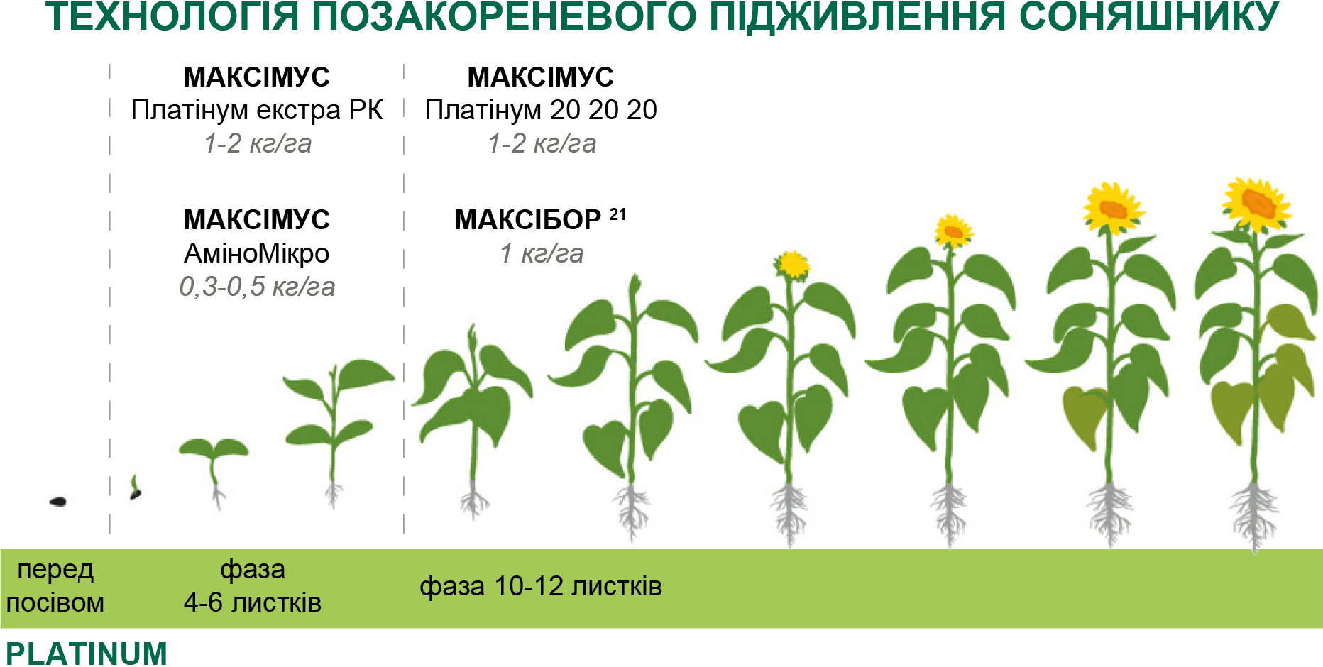 Технологія позакореневого підживлення соняшнику Технологія позакореневого підживлення соняшнику