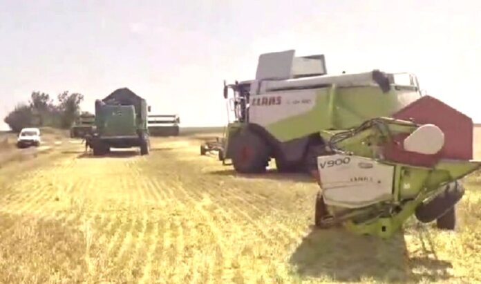 У Tekom Agro Group стартували жнива озимого ячменю