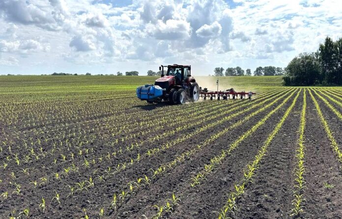 В Агротрейді впровадили міжрядний обробіток із одночасним внесенням рідких добрив