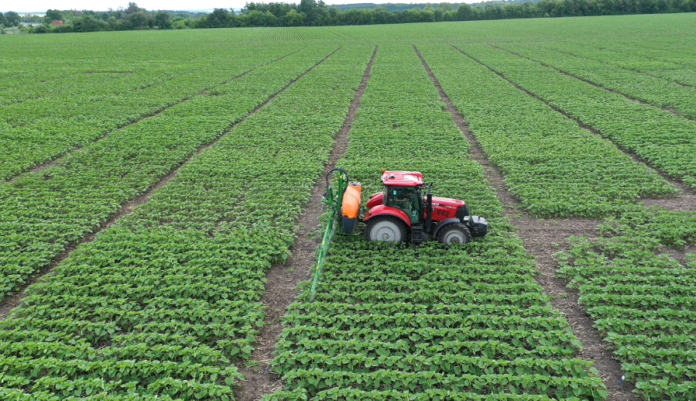 Corteva Agriscience та МХП реалізують масштабну програму польових дослідів