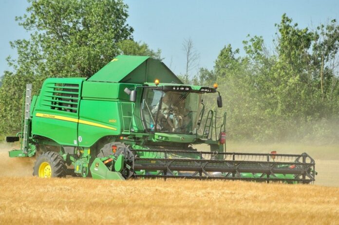 Жнива-2025 у Tekom Agro Group урожай пшениці та перший досвід із сочевицею